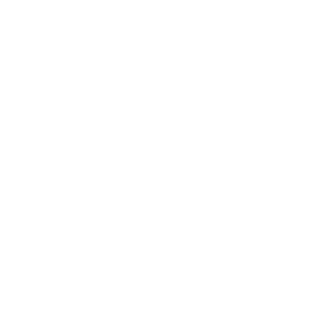 DREAM PLAN PURSE - Vertically Stacked Text